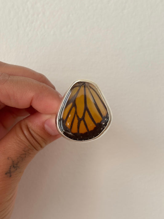Monarch Butterfly Hindwing Ring