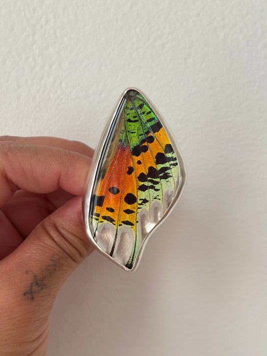 Sunset Moth Hindwing Butterfly Ring