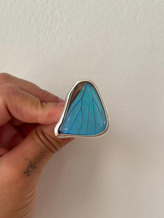 Aega Morpho Butterfly Ring