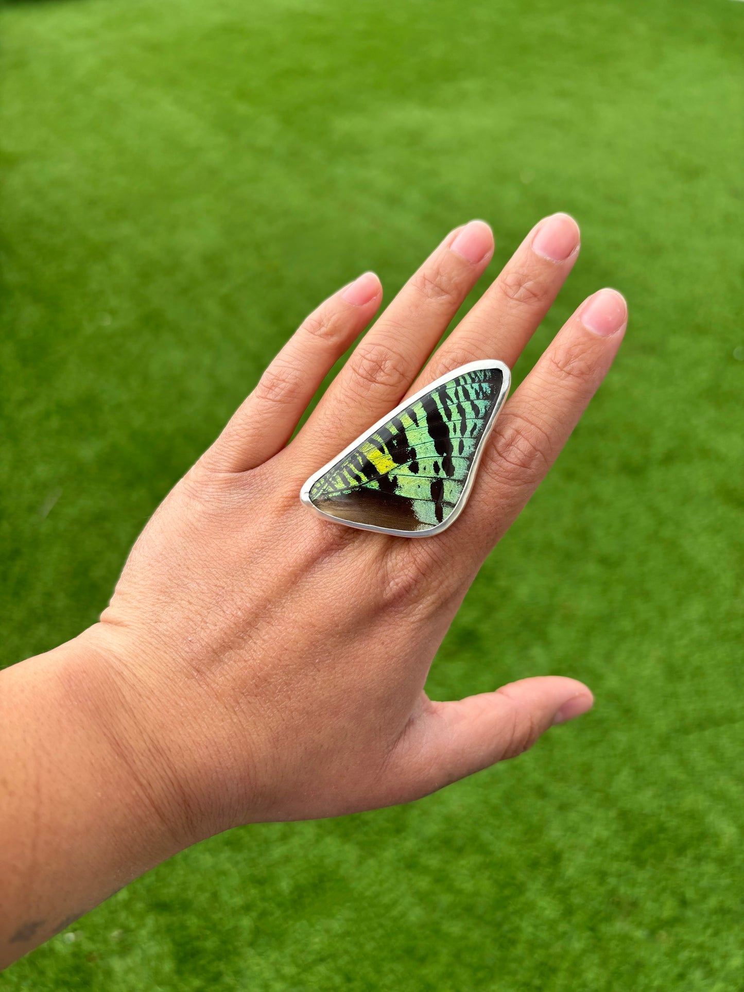 Sunset Moth Forewing Butterfly Ring