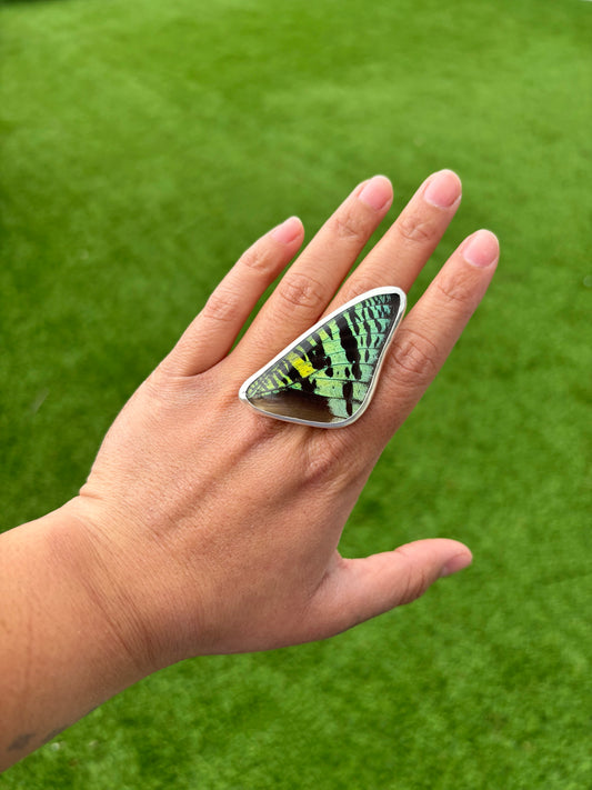 Sunset Moth Forewing Butterfly Ring