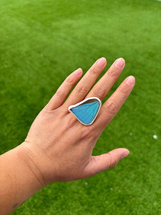 Aega Morpho Butterfly Ring