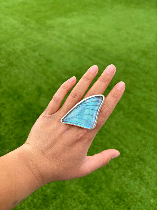 Adonis Morpho Butterfly Ring