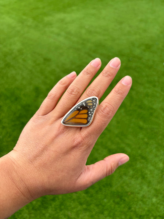Monarch Butterfly Forewing Ring