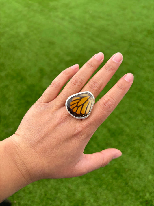Monarch Butterfly Hindwing Ring