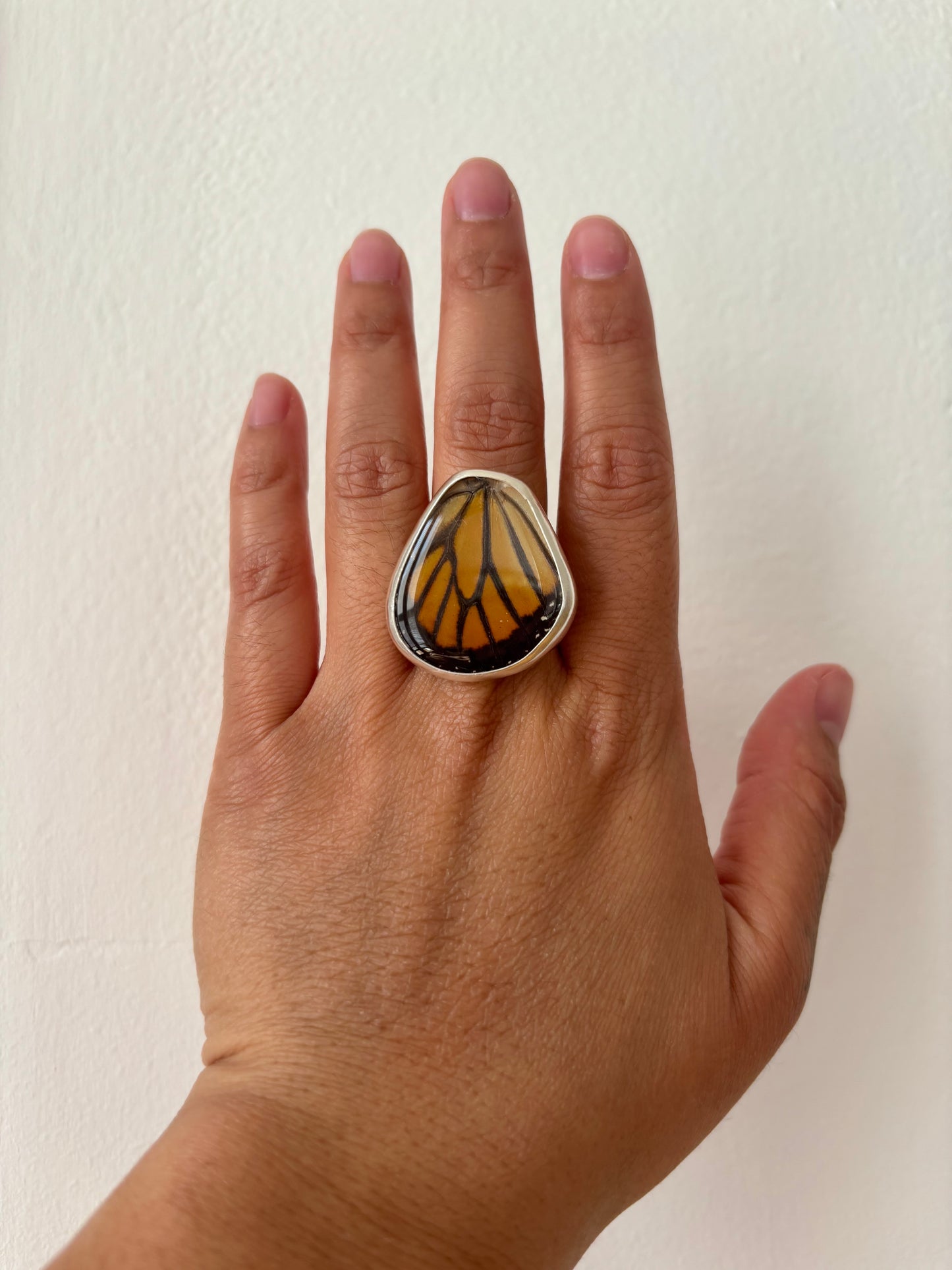 Monarch Butterfly Hindwing Ring